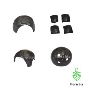 aquarium decor coconut shell