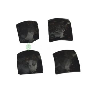 Home FloraBiz Coco Pad made from natural coconut shell for attaching aquatic plants like Java Moss and Anubias in aquarium