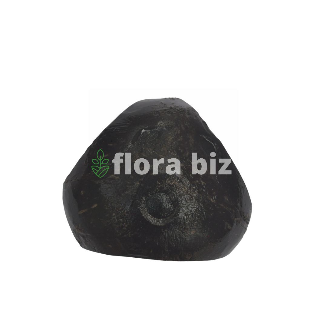 florabiz coco tri leg — natural coconut shell aquarium plant base florabiz coco tri leg — natural coconut shell aquarium plant base